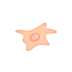 Fibroblast illustration 
