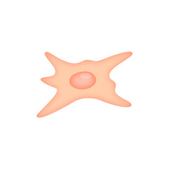 Fibroblast illustration 