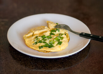 Simple Omelette with Green Onions on a White Plate