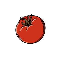 Tomato Clipart, Tomato illustration on isolated background