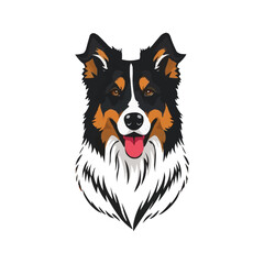 Australian shepherd dog. Vector illustration of Australian shepherd dog.