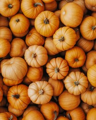 A vibrant collection of pumpkins showcases autumn's richness and colors in a bountiful display