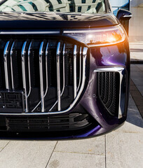 Radiator grille of a modern car