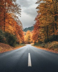 Fototapeta premium A tranquil autumn road framed by vibrant trees in rich orange and yellow hues