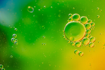 water drops on green background