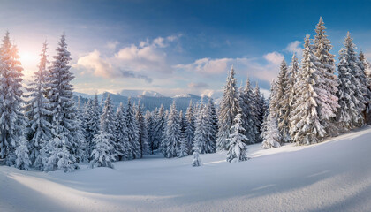 Naklejka premium Amazing winter background, mountain forest with snow covered fir trees