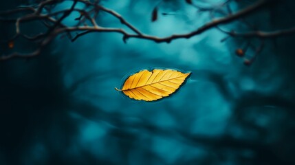 Golden yellow leaf gently floating on deep blue water under branches in autumn scene