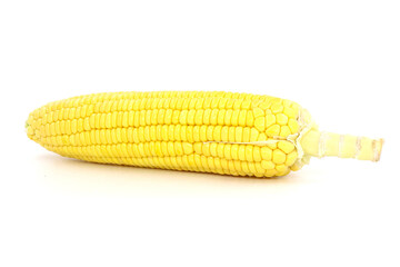 corn on the cob