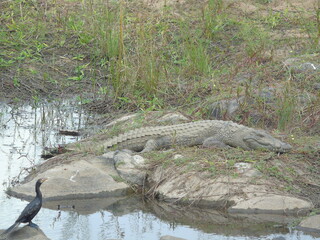 South Africa