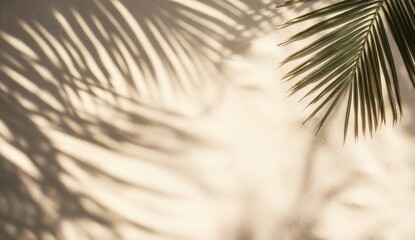 Obraz premium Palm leaves casting shadow on beige background for summer composition