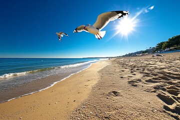 Fototapeta premium A quiet morning walk along the beach, with seagulls flying overhead and the sound of waves in the background
