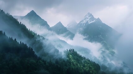 Mountain landscape with snow covered peaks and coniferous forest.