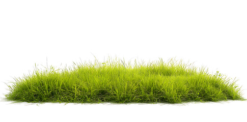 A lush green grass meadow stretches across the white background