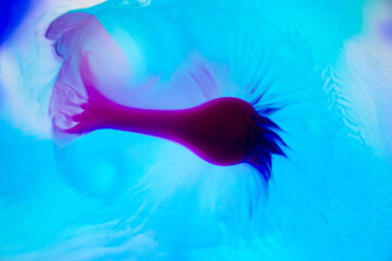 Abstract flower shape in swirly ink waves