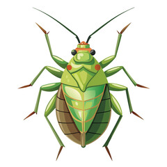 An Aphid Minimalist vector illustration isolated on a white background