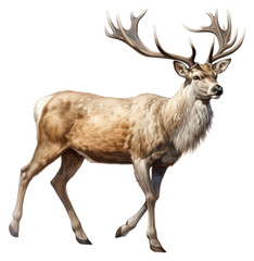 Obraz premium PNG Majestic raindeer illustration wildlife majestic.