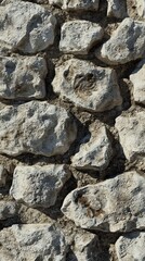 Textured stone wall showcasing nature's artistry in an ancient architecture style