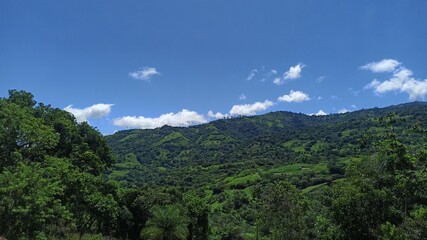 Obraz premium landscape with sky