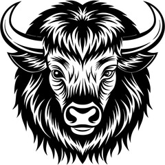 Bison with a large, shaggy head and strong shoulders vector