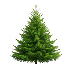 Fototapeta premium A lush green tree displaying vibrant foliage, perfect for nature-themed projects, decor, or seasonal illustrations. transparent background