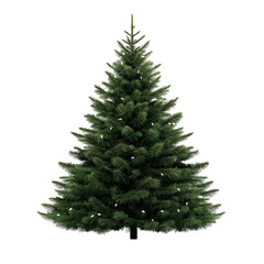 Fototapeta premium A lush green Christmas tree, perfect for holiday decorations and festive celebrations, bringing joy and warmth to any space. transparent background