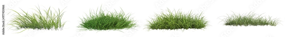 Leinwandbilder 3d rendering of grass on a transparent background.