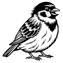 Sparrow perched with a cheerful expression and fluffy feathers vector