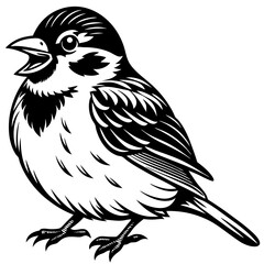 Sparrow perched with a cheerful expression and fluffy feathers vector