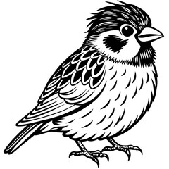 Sparrow perched with a cheerful expression and fluffy feathers vector