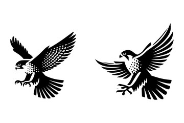 Obraz premium set of falcon illustration graphic design black and white vector clip art silhouette
