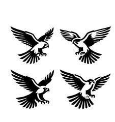 Fototapeta premium set of falcon illustration graphic design black and white vector clip art silhouette