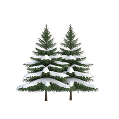 Obraz premium A serene winter scene featuring two snow-covered evergreen trees, perfect for holiday themes and seasonal decorations. transparent background