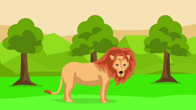 Animated video of a lion in the jungle on safari, art.