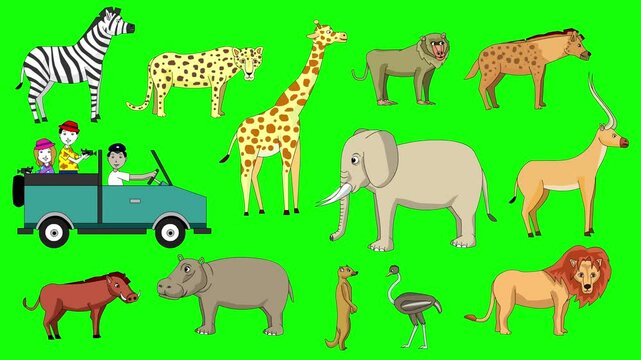 Animated video of animals on a green background and a car with three people, safari, art.