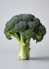 fresh healthy green broccoli vegetable or veggie, curly vegetables isolated in light grey background.