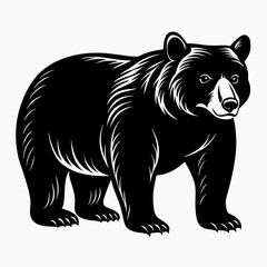 Bear Black vector silhouette
