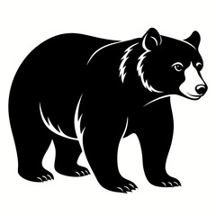 Bear Black vector silhouette