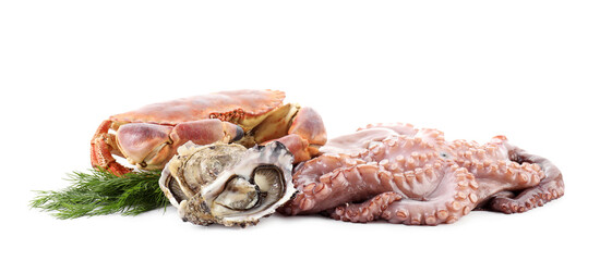 Fresh raw octopus and different sea food isolated on white