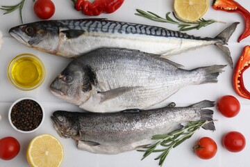 Sea food. Different types of raw fish and products on white tiled table, flat lay