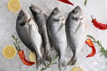 Sea food. Different types of raw fish, lemons, chili and rosemary on ice cubes, flat lay