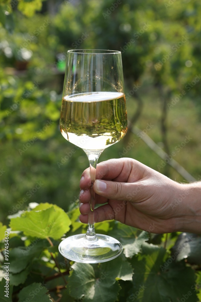 Sticker Man holding glass with tasty wine outdoors, closeup