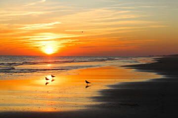 Birds at Sunrise