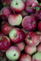 red apples in the market
