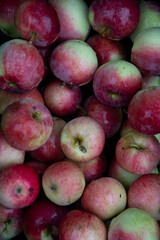 red apples background