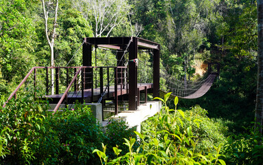 Wooden footbridge and cement stairs in nature tropical forest. Walking swing bridge, a suspension...