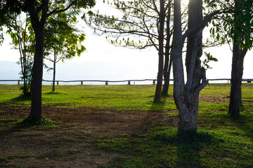 Camp ground with trees and grass filed at Tat Mok National Park, Mueang Phetchabun District, Phetchabun Province, Thailand.