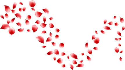 Nature floating rose petals flying decoration freshening ecology illustration