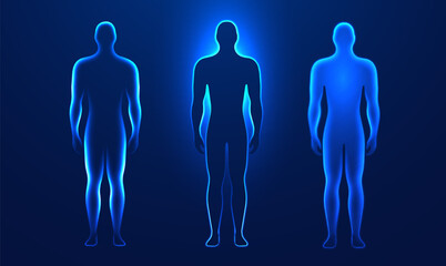 Human body digital glowing silhouettes in a futuristic style on a dark blue background. Set element of human anatomy in glowing light effects for medical, scientific, and technological banner