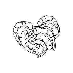shrimp heart, black and white illustration