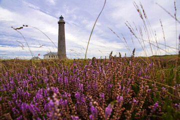 Skagen Graa Fyr - der letzte Leuchtturm Dänemarks auf einer Landzunge an der Nordspitze bei Skagen